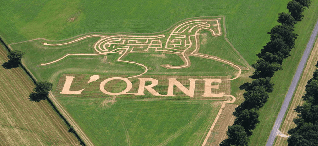 Orne, TrashTalk Fantasy League