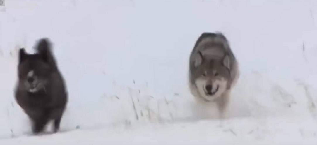 TrashTalk Fantasy League