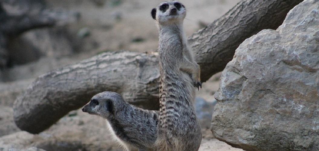 TrashTalk Fantasy League