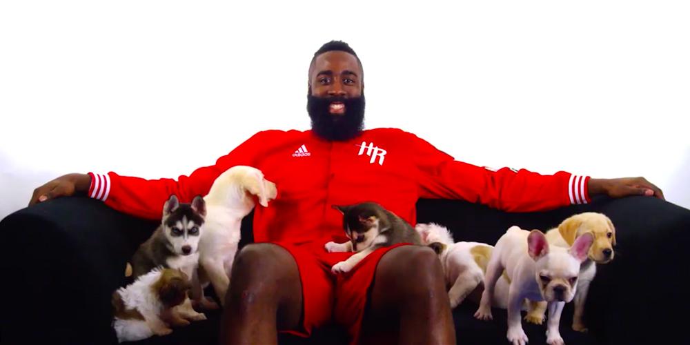 James Harden