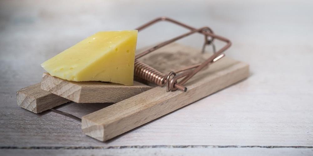 TrashTalk Fantasy League