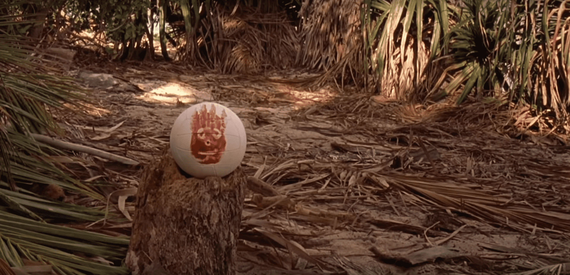 Wilson ballon NBA (14/05/2020)