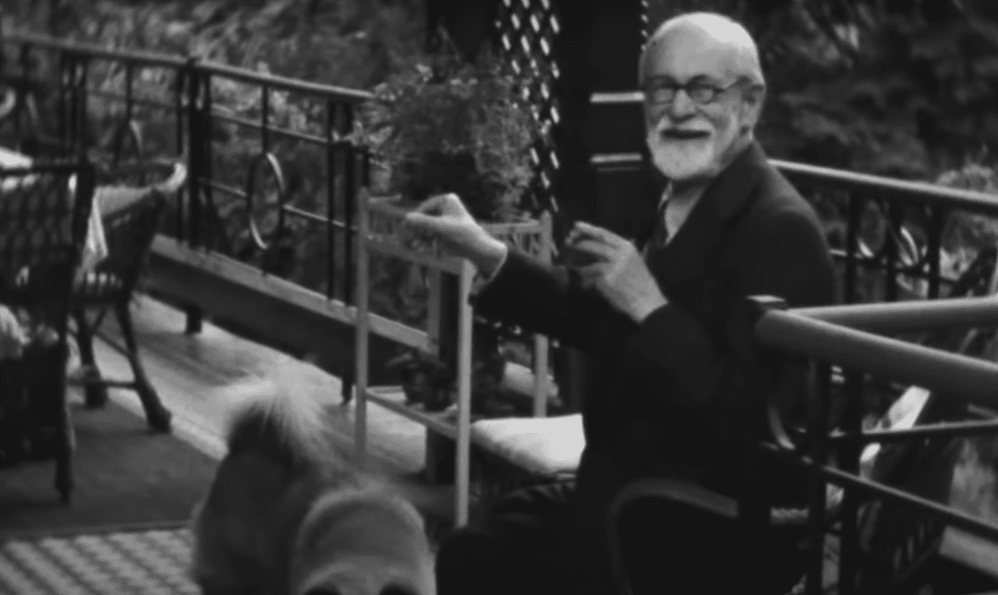 sigmund freud