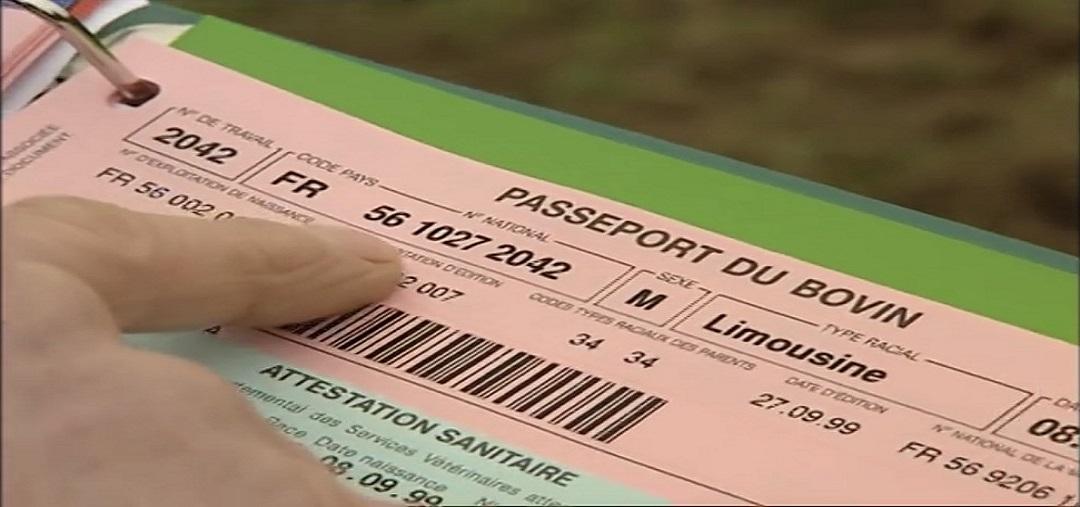 covid-chicago-2-janvier-21