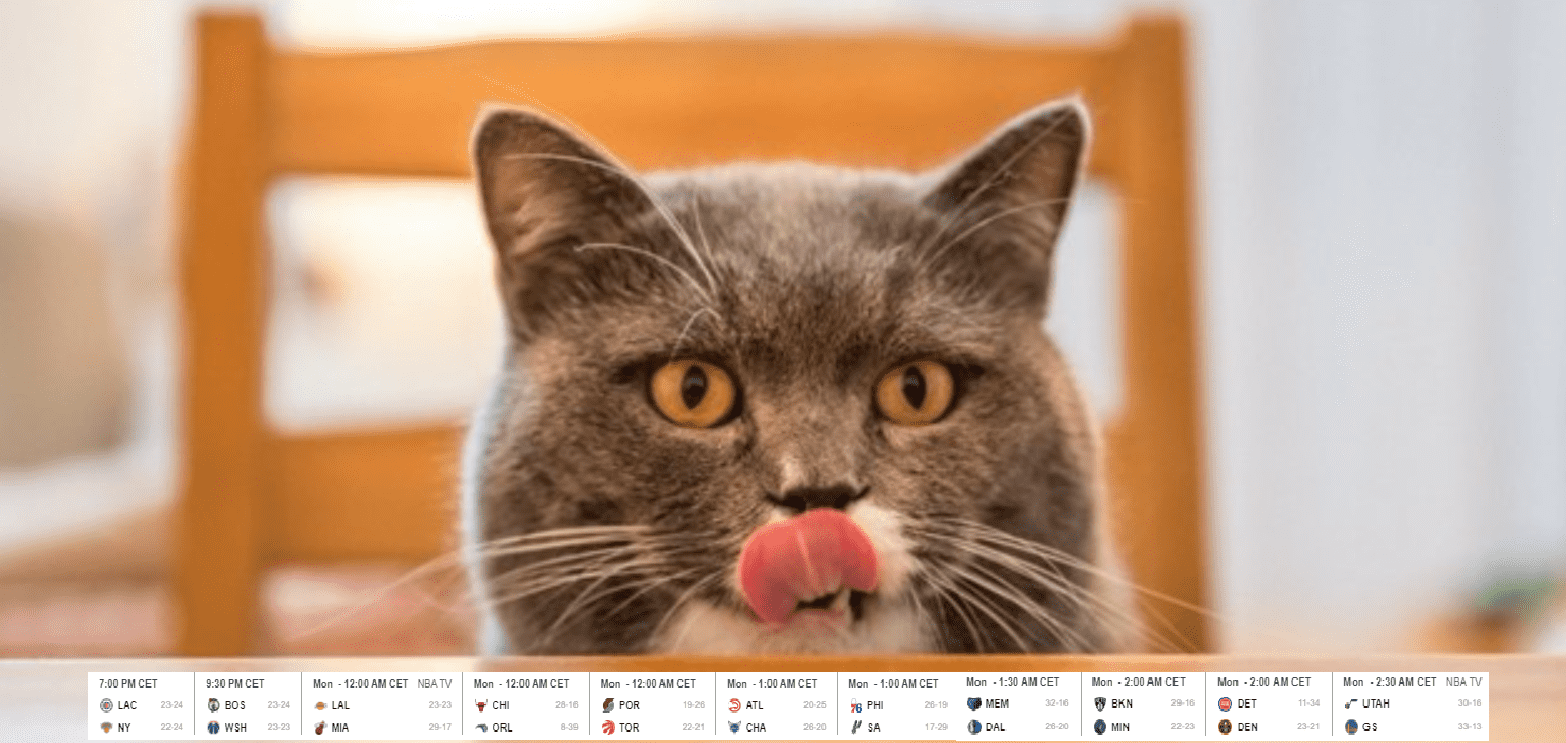 chat 23 janvier 20222