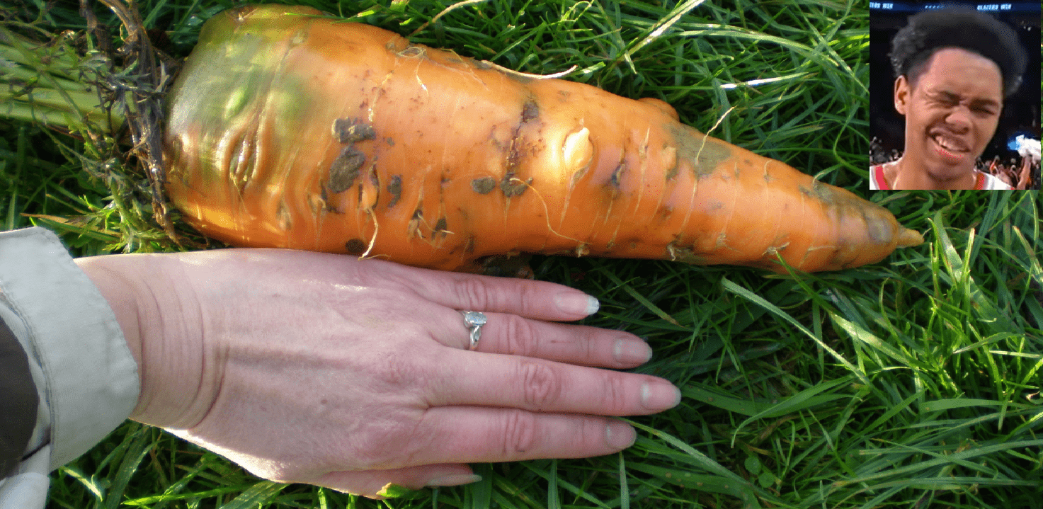 carotte Simons 9 décembre 2022