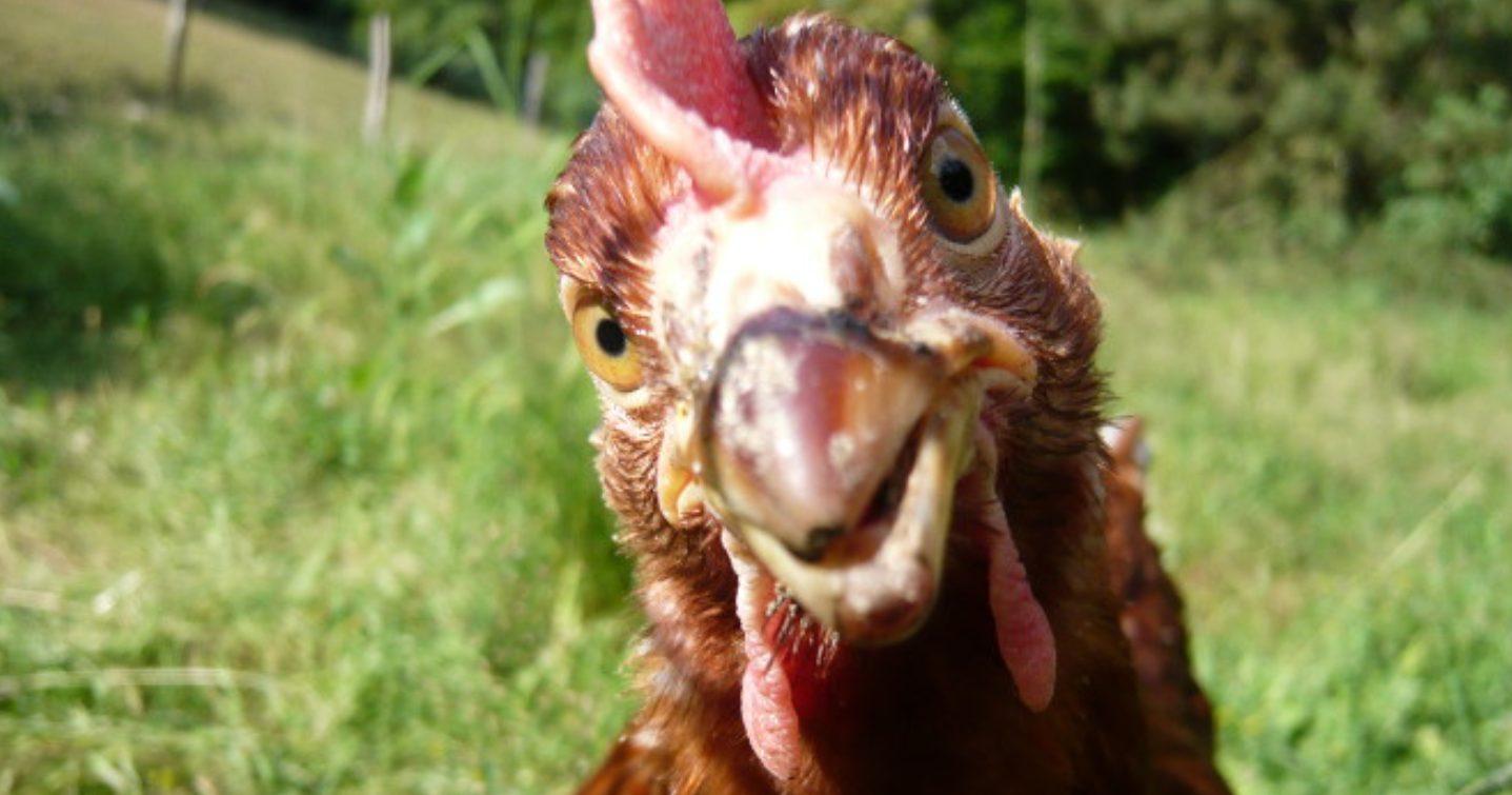 Jordan Poole 9 mai 2023