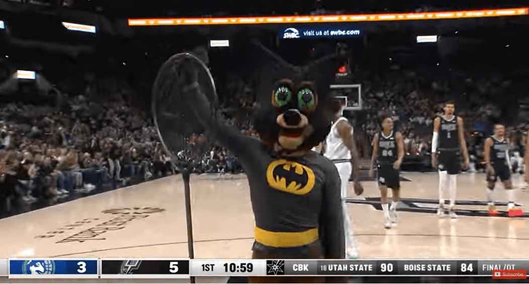 chauve-souris 28 janvier 2024