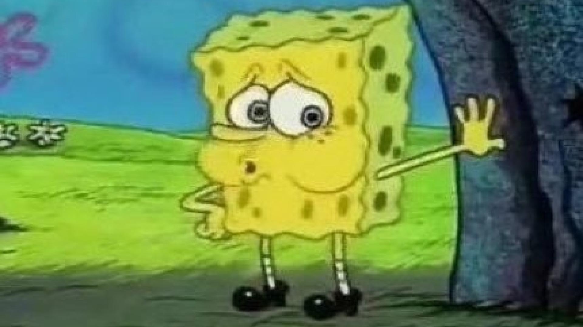 Bob l'éponge 12 mai 2024