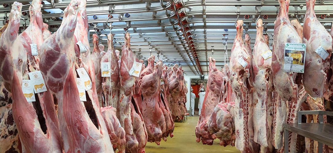 Golden State Warriors boucherie