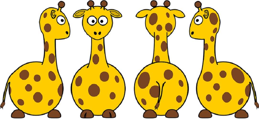 TrashTalk Fantasy League - Girafe