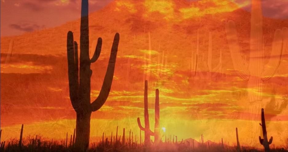 Cactus Soleil Suns Preview