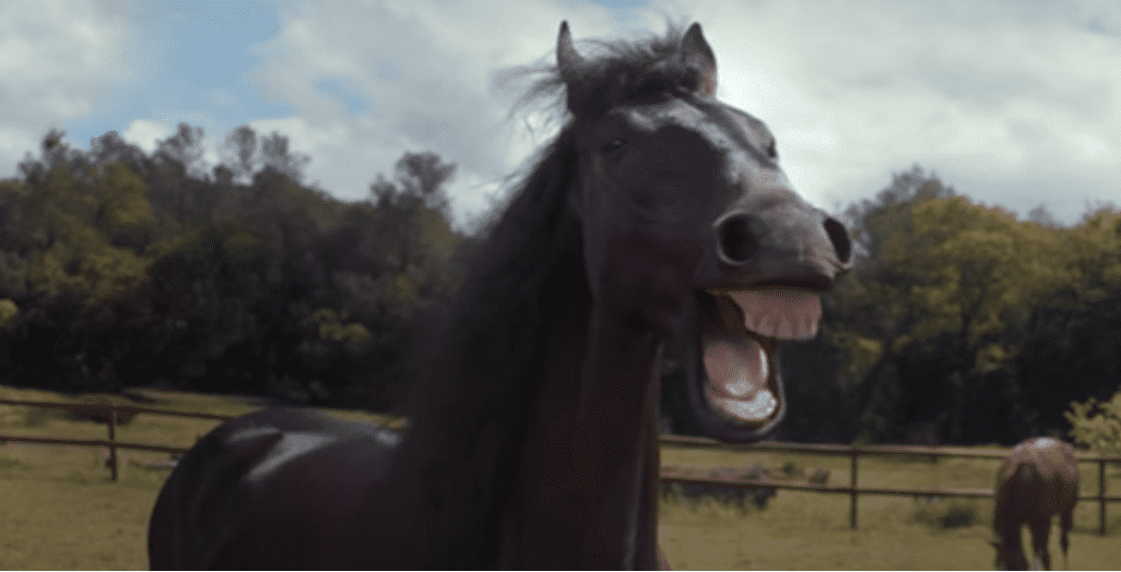 TrashTalk Faantasy League