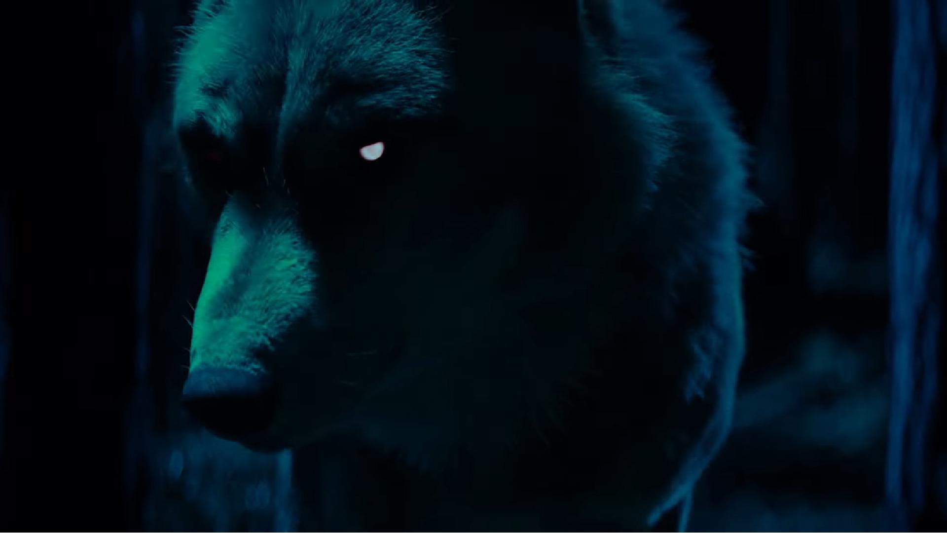 Loup v2 Wolves Minnesota Timberwolves 21 novembre 2023