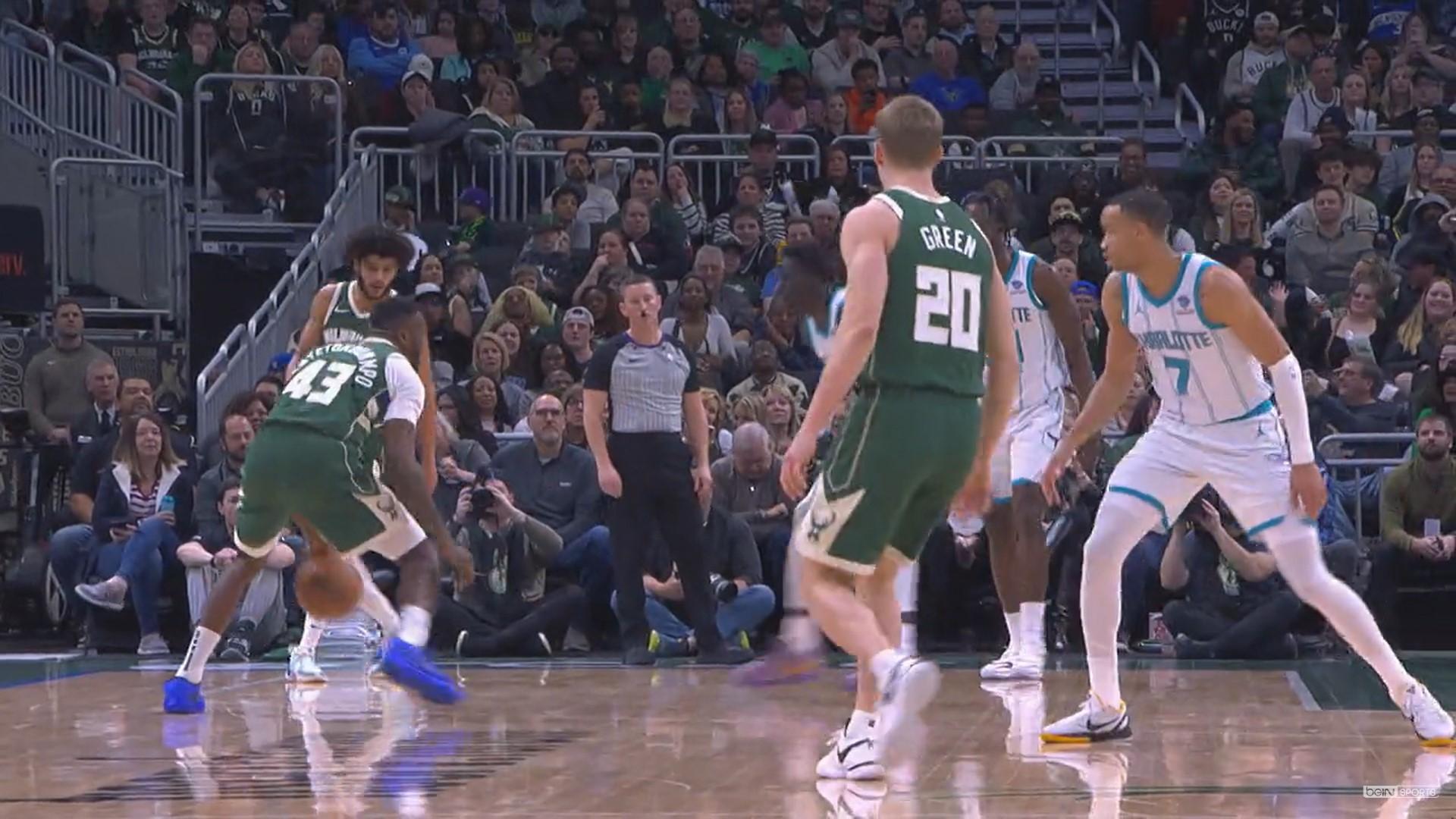 thanasis antetokounmpo nba top 10