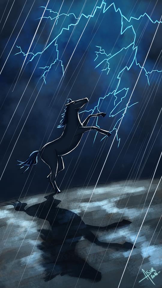 Thunder - Mavs (Source : Asur Illustrations)
