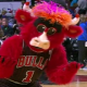 Bulls Pistons