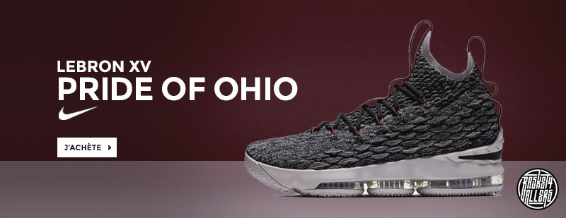 Nike LeBron 15 Pride of Ohio