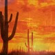 Cactus Soleil Suns Preview