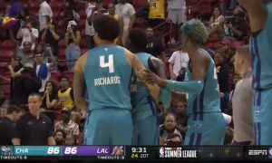 Hornets young core